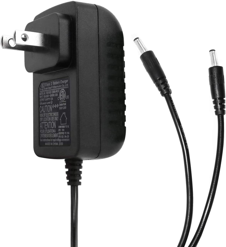 Dual Battery Charger