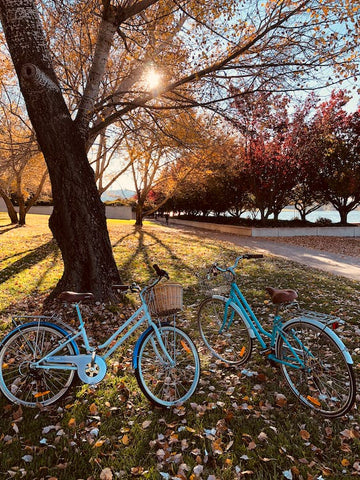 two blue bikes in one place in the park