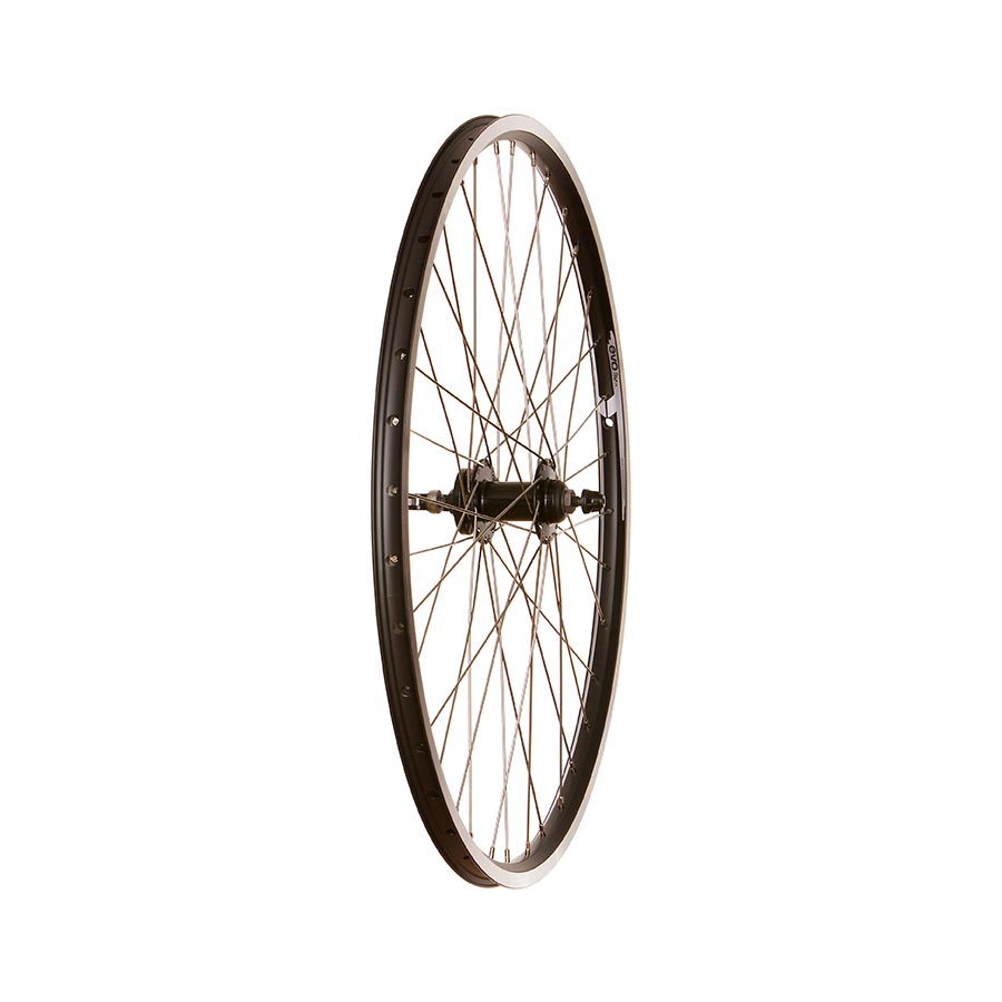 Wheel Shop Evo Tour 19 Blk QR Rim and Disc 27.5