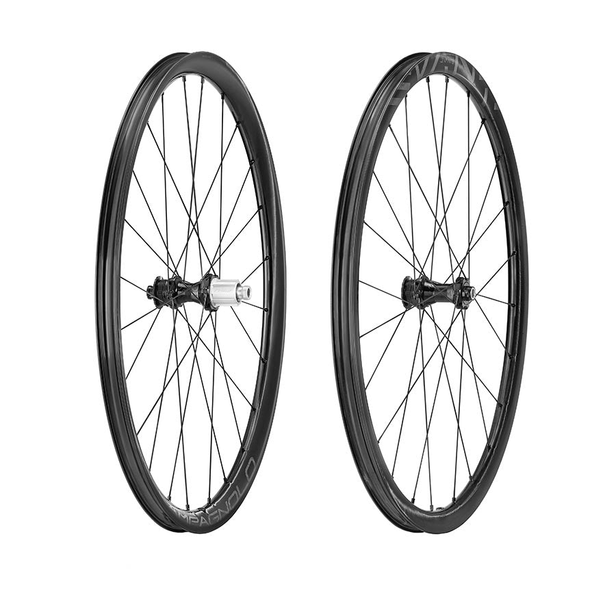 Campagnolo Levante Disc