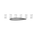 Industry Nine TORCH MTN Pawl Spring Kit